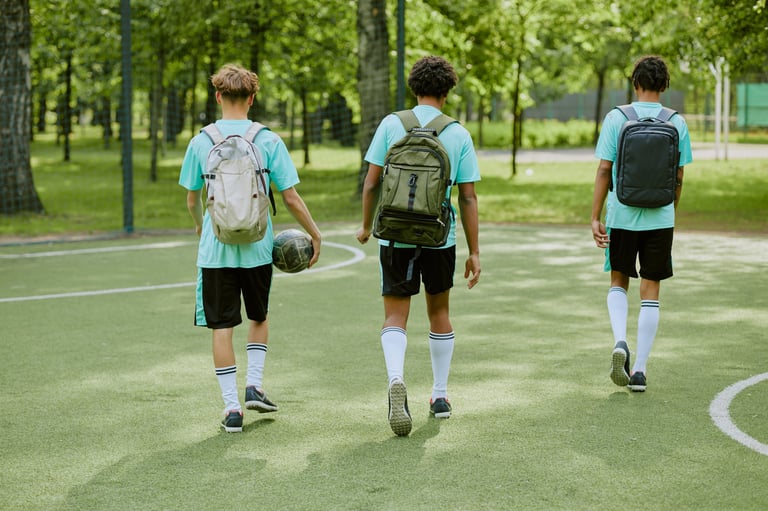 Outdoor soccer field surrounded by green trees